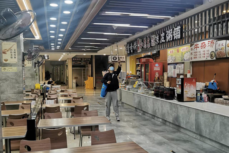 饭店灭蚊子